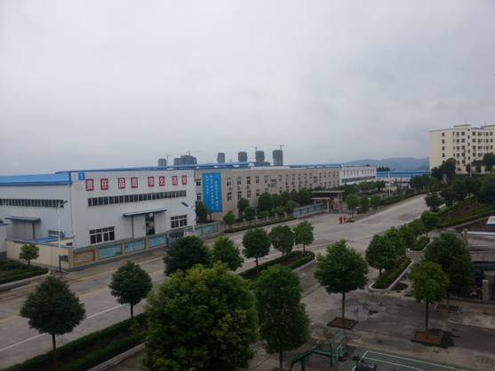 園區(qū)鳥瞰圖.jpg